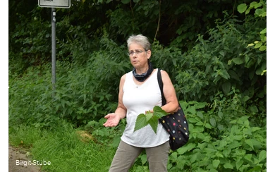 Birgit Stübe, Kräuterführerin in Iserlohn