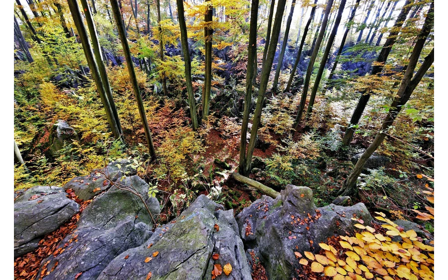 Felsenmeer Herbst Foto Pressestelle MK.jpg