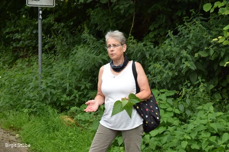 Birgit Stübe, Kräuterführerin in Iserlohn