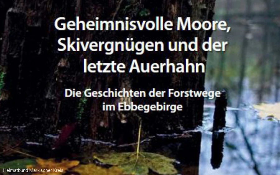 Titel Forstwege im Sauerland