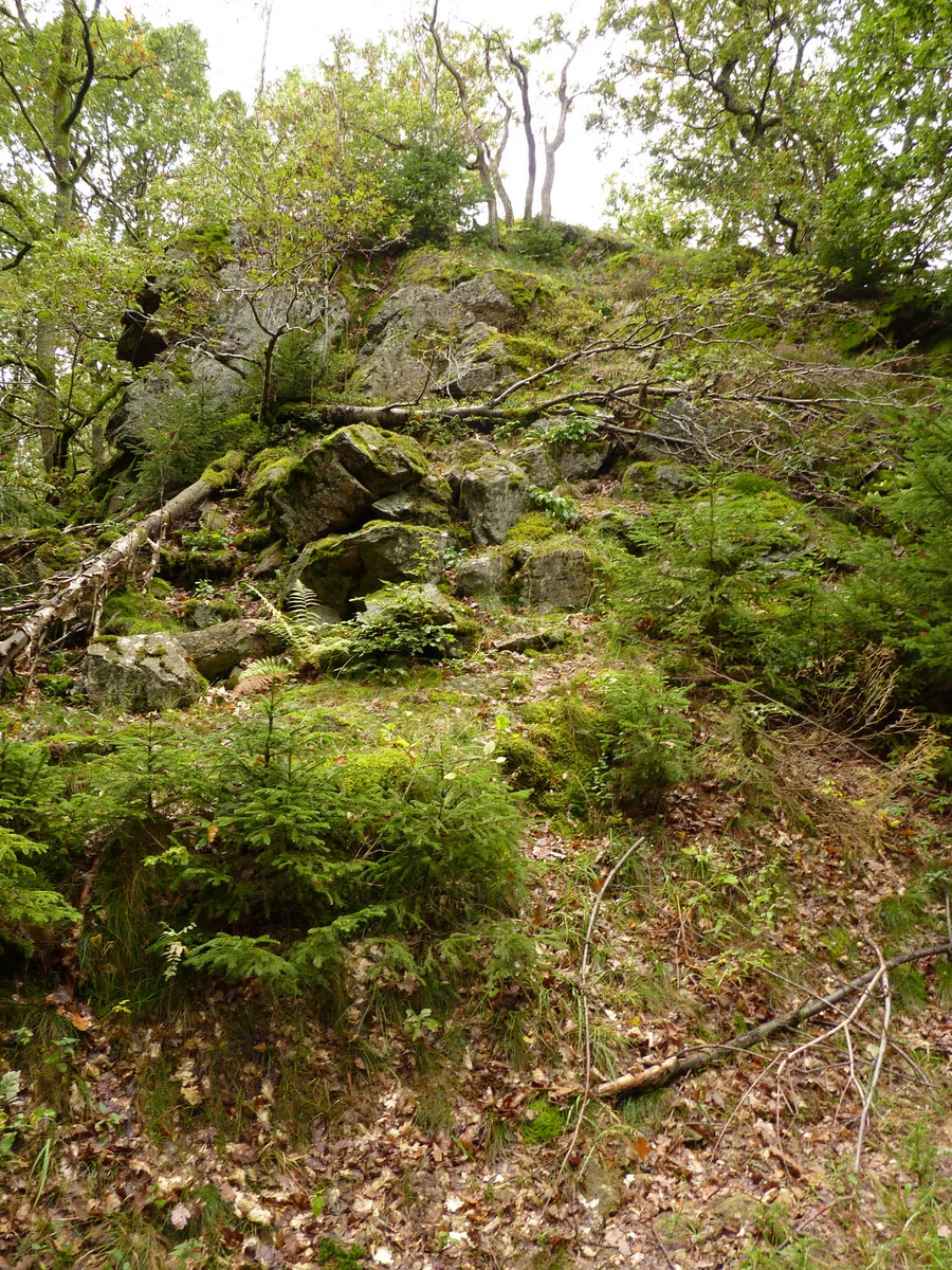 Kleffweg Albaum_Foto Tourist-Information Lennestadt und Kirchhundem (2).JPG