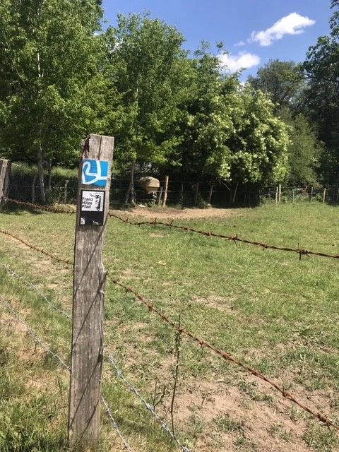 Franz Hitze Pfad Foto Franz-Hitze-Verein e. V..jpg